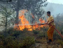 Erdemlide 10 dekar orman yandı